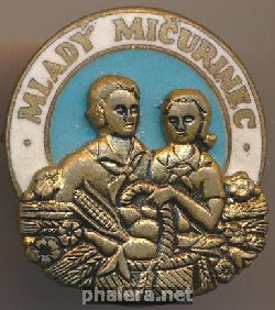 Badge  