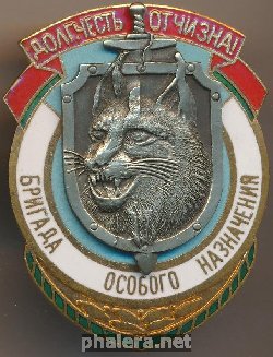 Знак Бригада особого назначения 