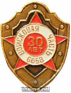 Знак 30 лет войсковая часть 6658