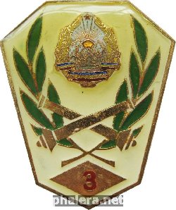 Badge  