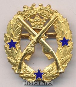 Нагрудный знак За стрельбу из пистолета, 3 звезды 